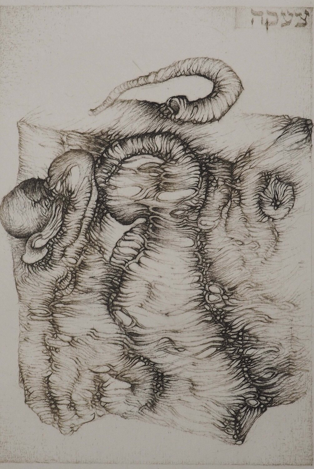 Lamentation Fred Deux