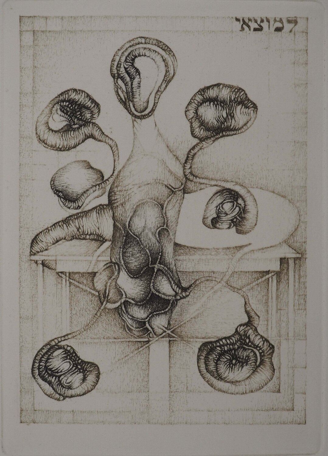 Délibération Fred Deux