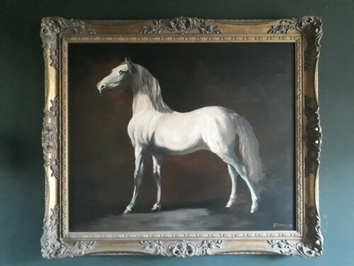 Arab van Barry Davies RCA, Schilderij te koop op Singulart