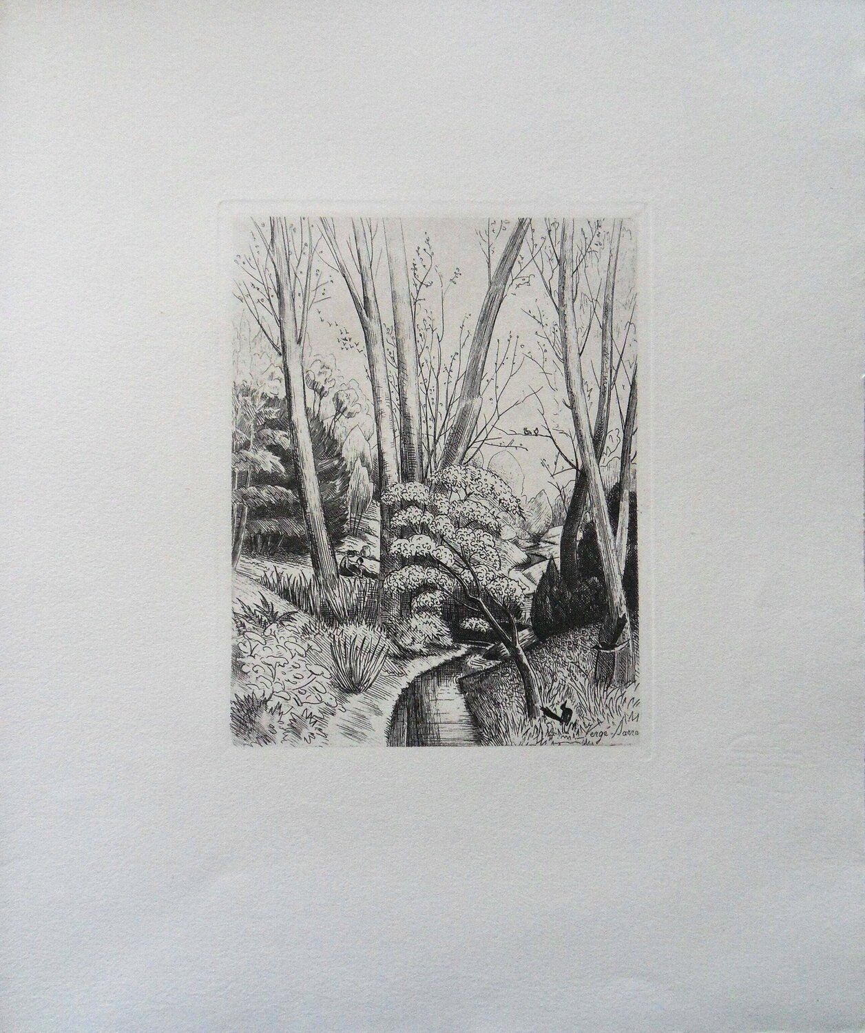 Sous bois Henri Verge-Sarrat