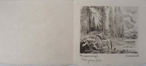 Sentier en forêt, Gravure originale signée Hermine David