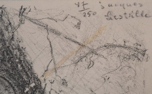 Sommeil sur la rive Jacques Lestrille