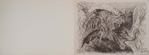 Vol des oiseaux Jacques Lestrille