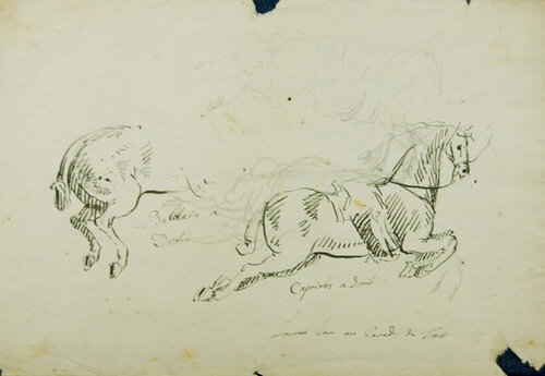 Horse's Study di Jan-Peter Verdussen, Opera su carta in vendita su Singulart