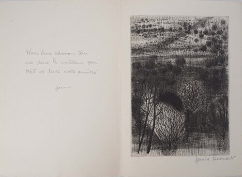 Paysage d'un champ de buissons Janine Acremant