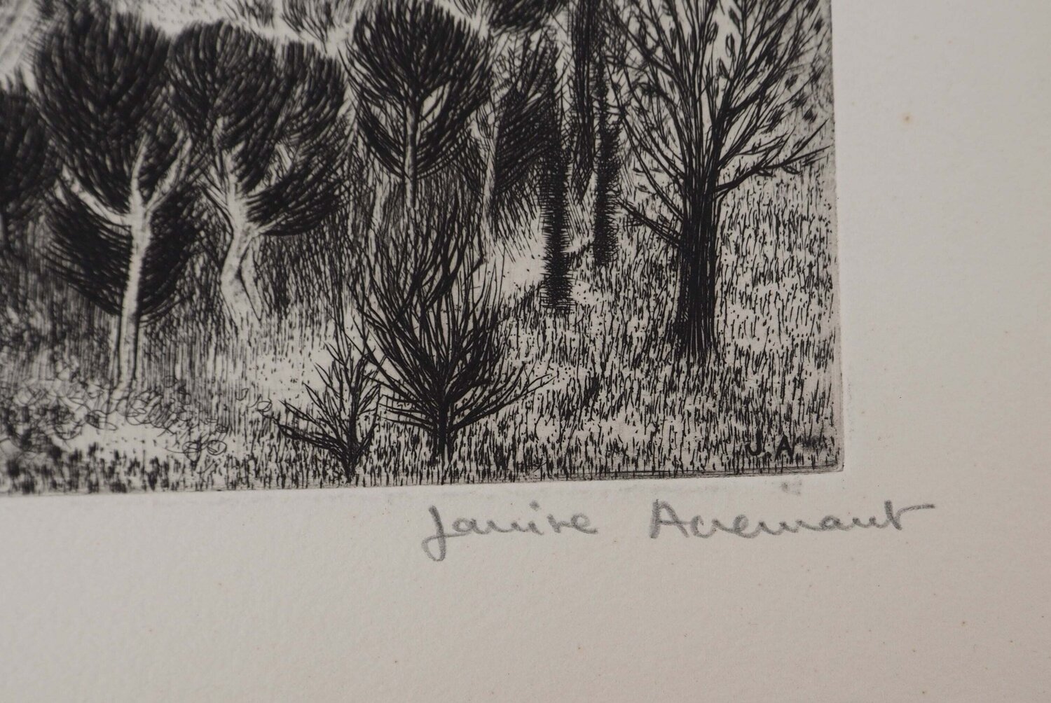Entrée du domaine Janine Acremant
