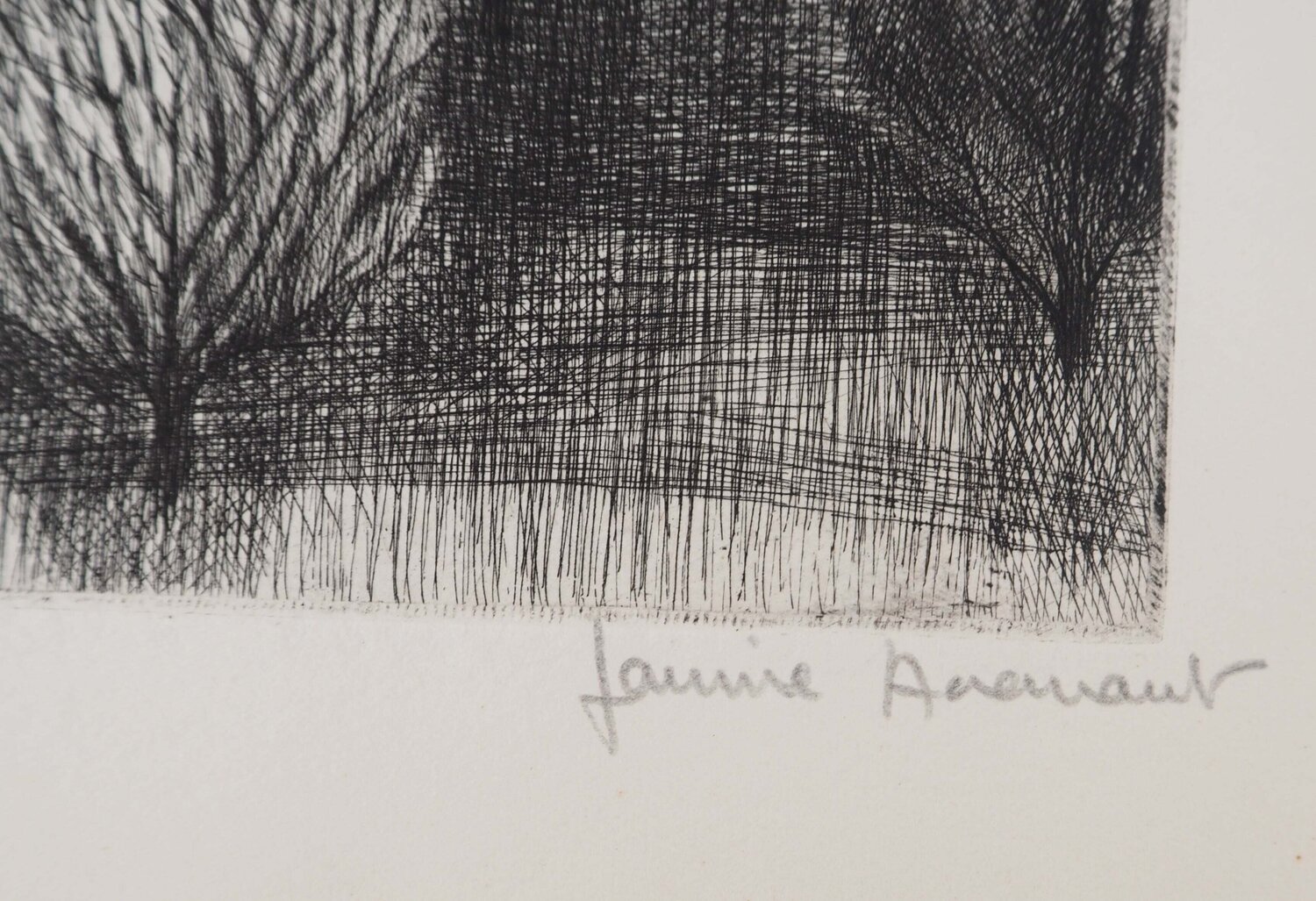 Paysage d'un champ de buissons Janine Acremant