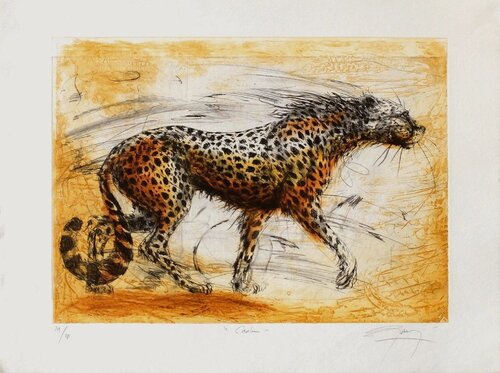 Caalin by Jean-Marie Guiny, Print for Sale on Singulart