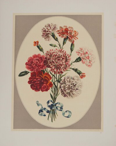 Fleurs et Bouquets, Les œillets du fleuriste, Lithographie signée van John Edwards, Afdruk te koop op Singulart