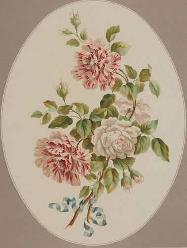 Fleurs et Bouquets : Les roses anciennes von John Edwards, Druck kaufen auf Singulart
