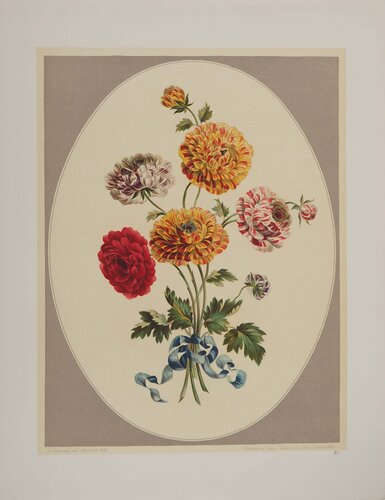 Fleurs et Bouquets, Les Renoncules asiatiques, Lithographie signée van John Edwards, Afdruk te koop op Singulart
