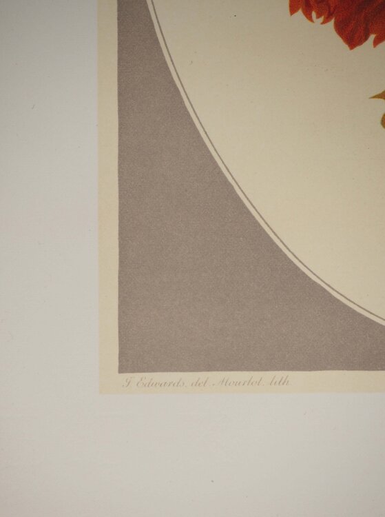 Fleurs et Bouquets : Une composition printanière John Edwards