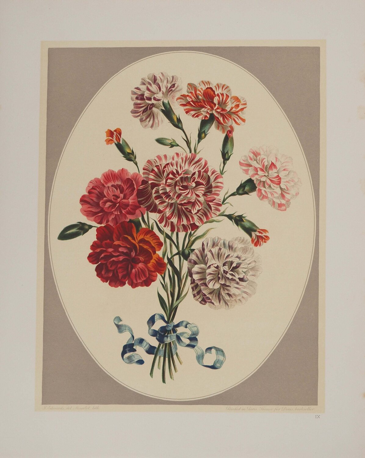 Fleurs et Bouquets, Les œillets du fleuriste, Lithographie signée John Edwards Afdruk te koop