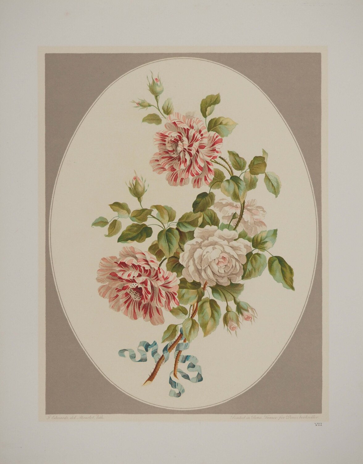 Fleurs et Bouquets, Les roses anciennes, Lithographie signée John Edwards Druck zu verkaufen