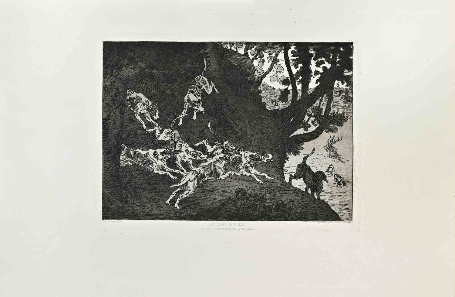 Le Cerf à l’Eau Karl Bodmer Stampa in vendita