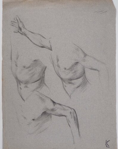 Étude du torse, dessin original by Léopold-Franz Kowalski, Drawing for Sale on Singulart