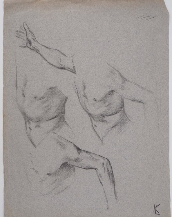 Étude du torse, dessin original Léopold-Franz Kowalski