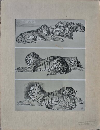 Les Tigres by Mathurin Méheut, Print for Sale on Singulart