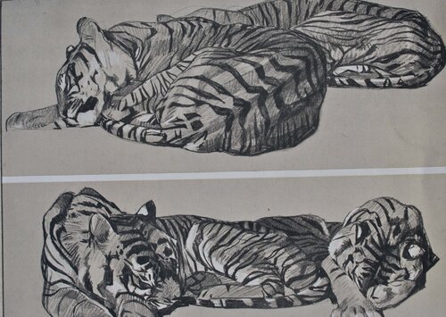 Le Tigre au repos van Mathurin Méheut, Afdruk te koop op Singulart