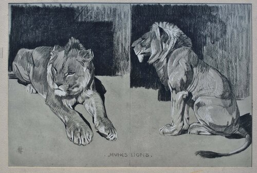 Le couple de Lions by Mathurin Méheut, Print for Sale on Singulart
