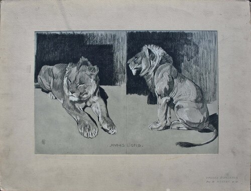 Le couple de Lions by Mathurin Méheut, Print for Sale on Singulart