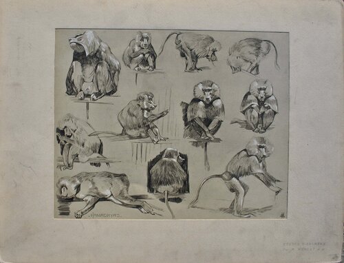 Les Singes par Mathurin Méheut, Édition en vente sur Singulart