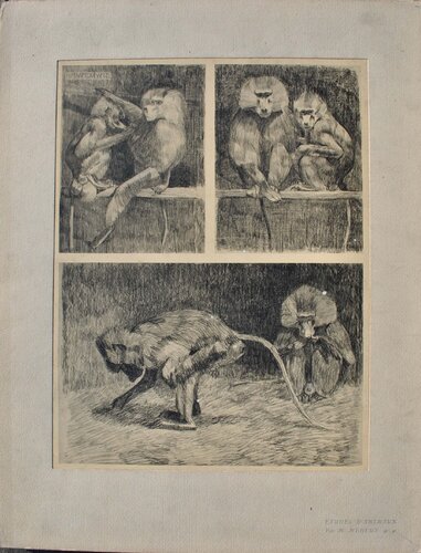 Les petits Singes par Mathurin Méheut, Édition en vente sur Singulart