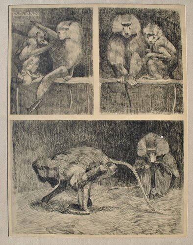 Les petits Singes von Mathurin Méheut, Druck kaufen auf Singulart