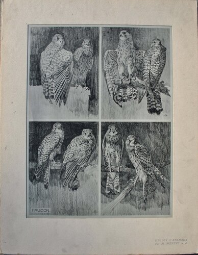 Le couple de Faucons by Mathurin Méheut, Print for Sale on Singulart