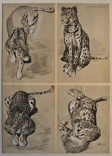 La Panthère van Mathurin Méheut, Afdruk te koop op Singulart