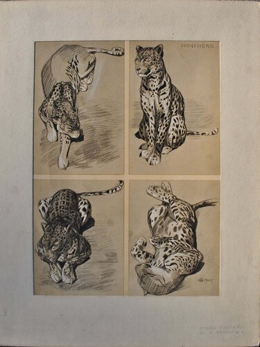 La Panthère par Mathurin Méheut, Édition en vente sur Singulart