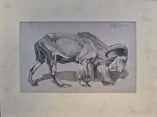 Le Mouflon de profil par Mathurin Méheut, Édition en vente sur Singulart