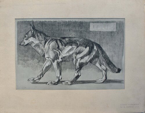 Le Loup by Mathurin Méheut, Print for Sale on Singulart