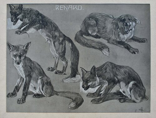 Le Renard van Mathurin Méheut, Afdruk te koop op Singulart