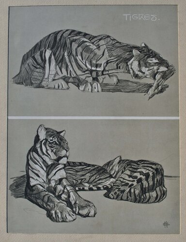 Le Tigre by Mathurin Méheut, Print for Sale on Singulart
