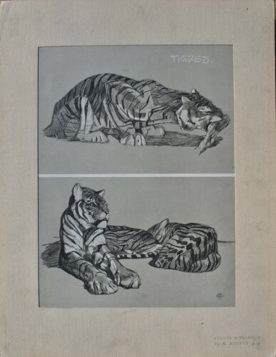 Le Tigre par Mathurin Méheut, Édition en vente sur Singulart