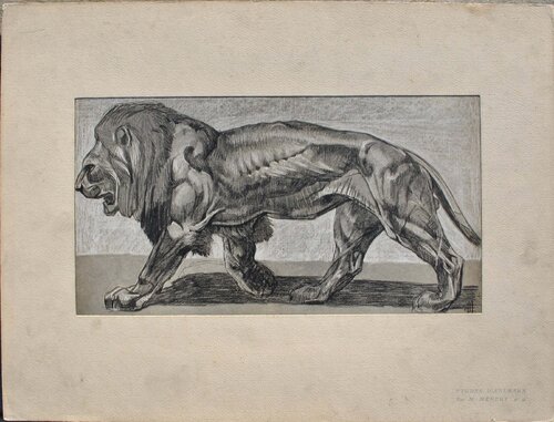 Le Lion par Mathurin Méheut, Édition en vente sur Singulart