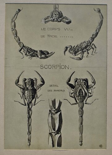 Le Scorpion van Mathurin Méheut, Afdruk te koop op Singulart