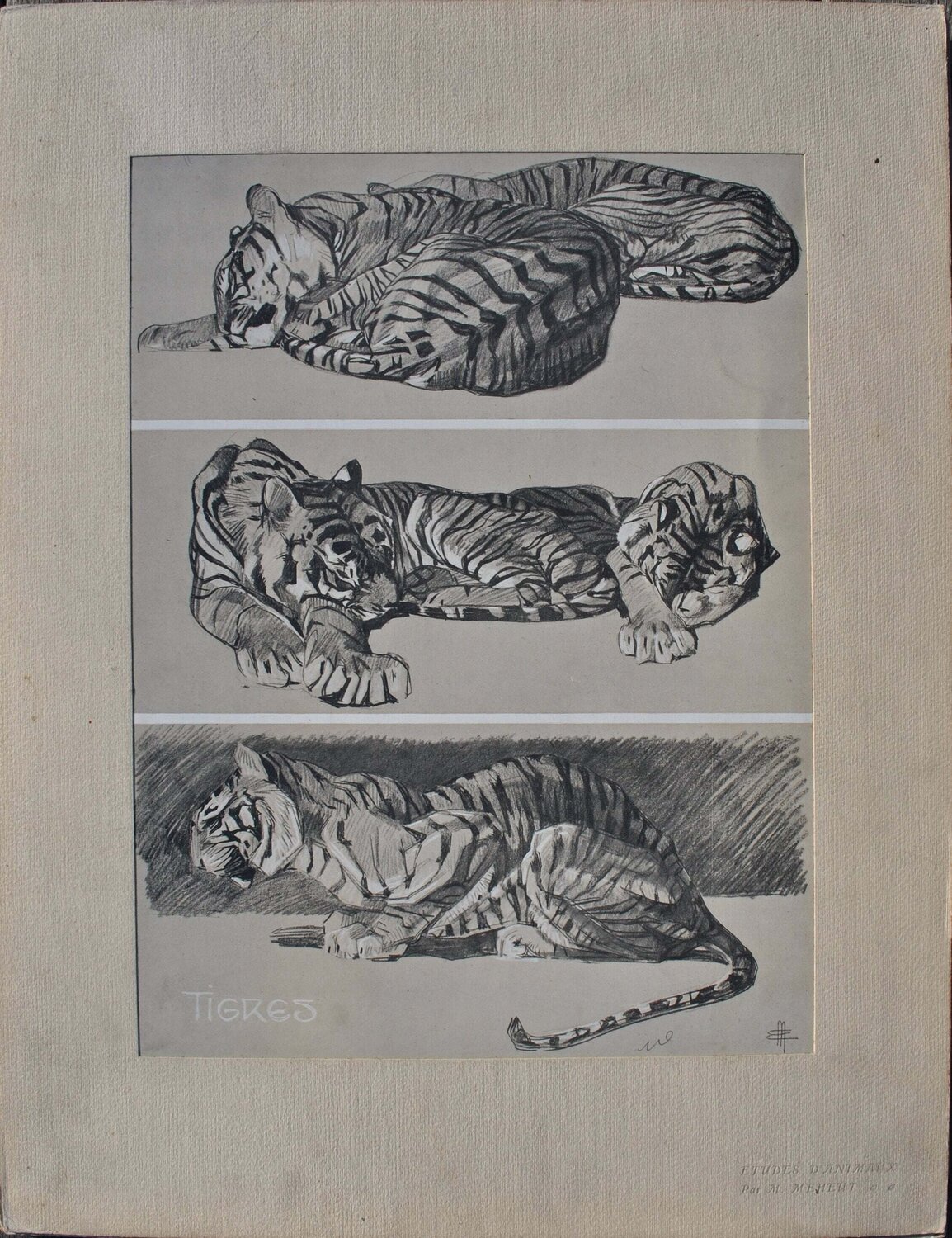 Le Tigre au repos Mathurin Méheut Impresión en venta