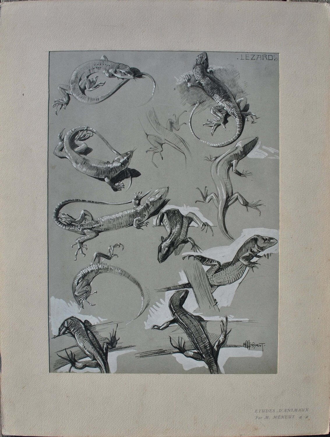 Le Lézard Mathurin Méheut Print for sale