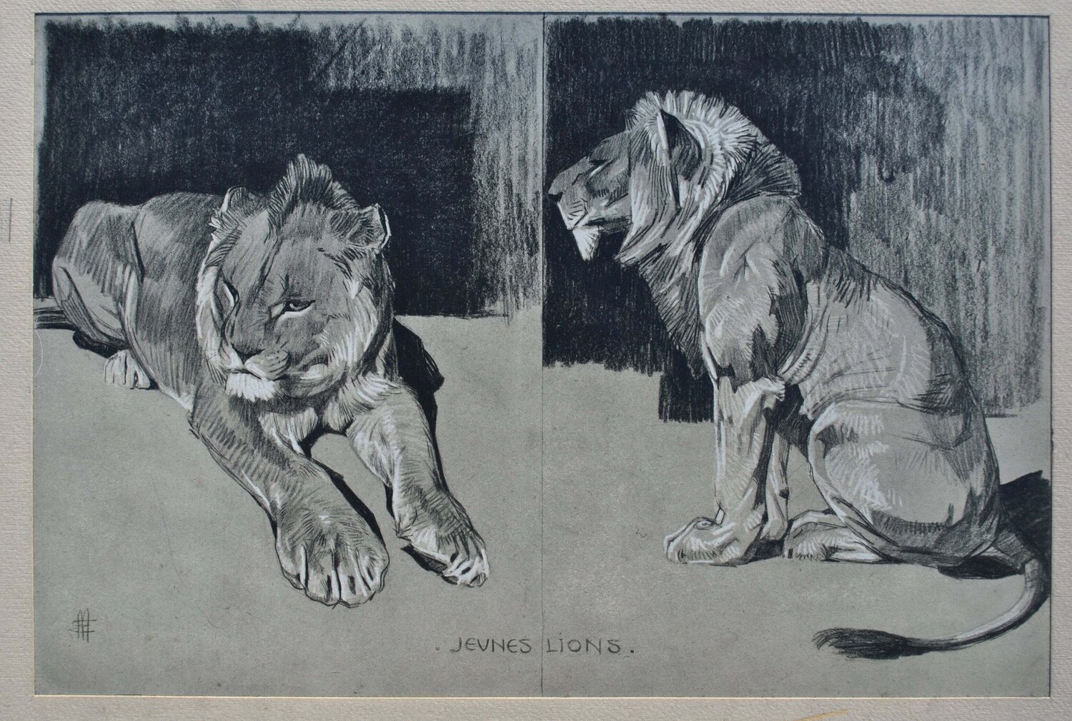 Le couple de Lions Mathurin Méheut