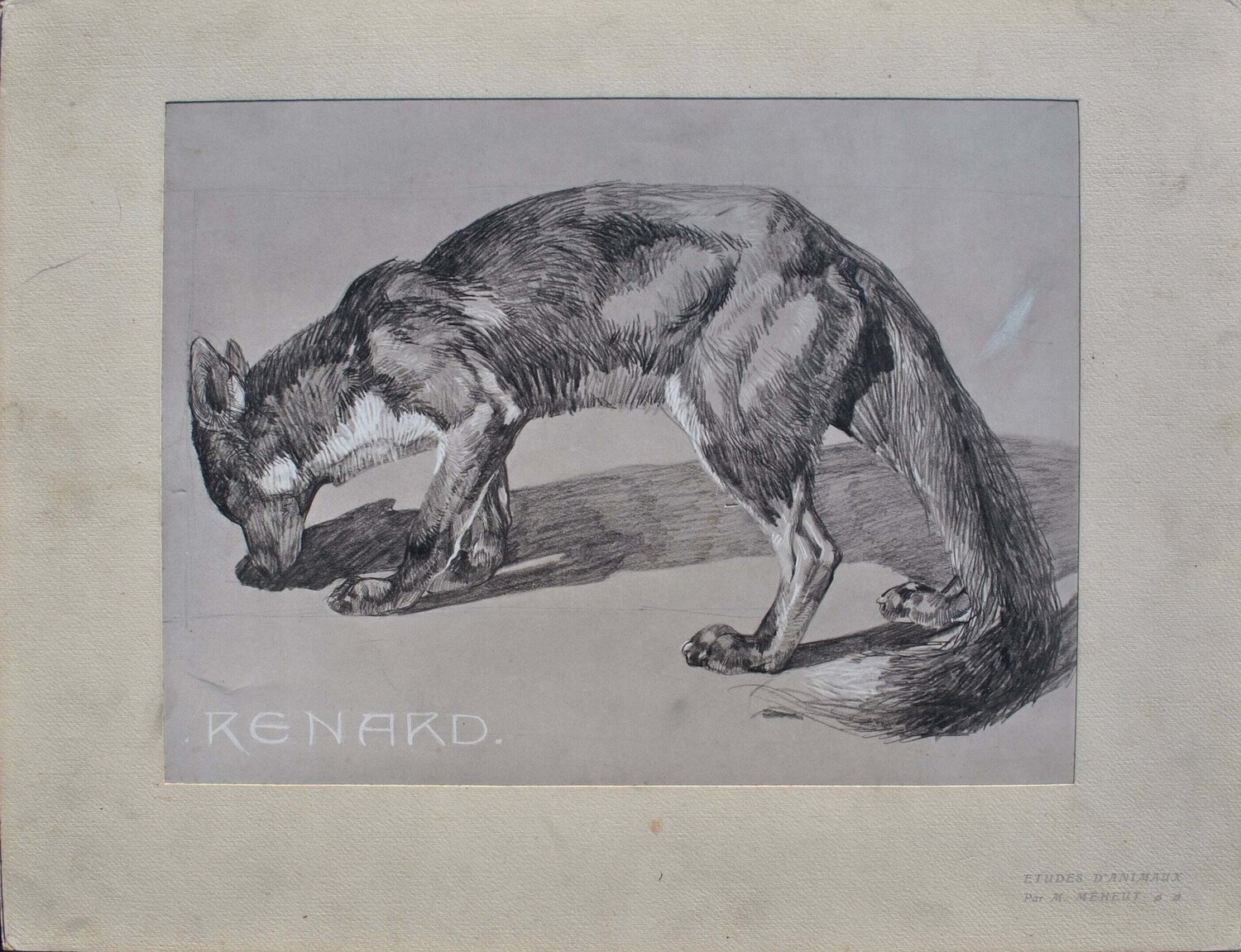 Le Renard et sa proie Mathurin Méheut Druck zu verkaufen
