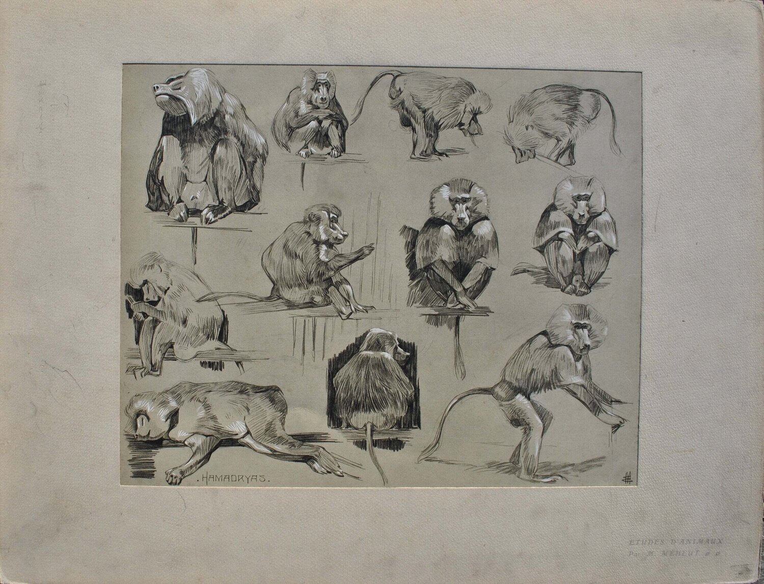 Les Singes Mathurin Méheut Impresión en venta