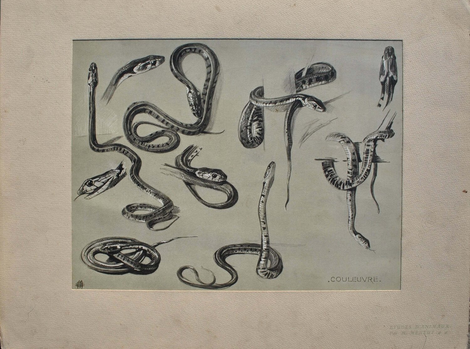 Les Serpents Mathurin Méheut Édition à vendre