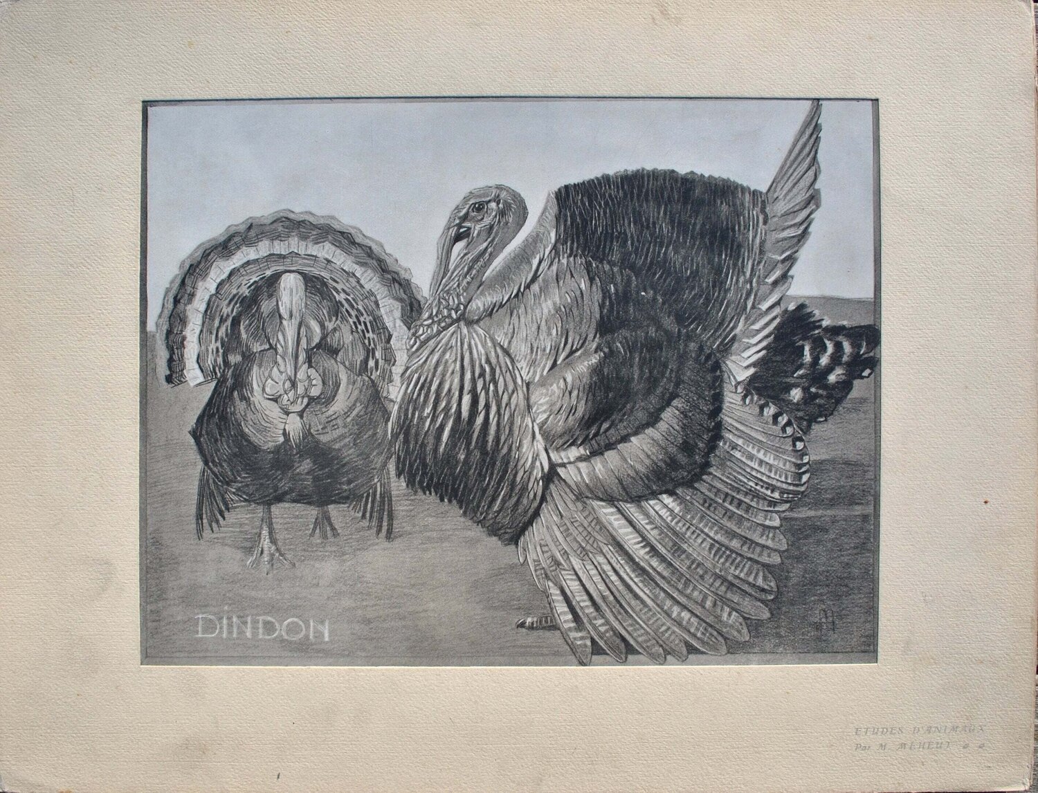Le Dindon Mathurin Méheut Print for sale