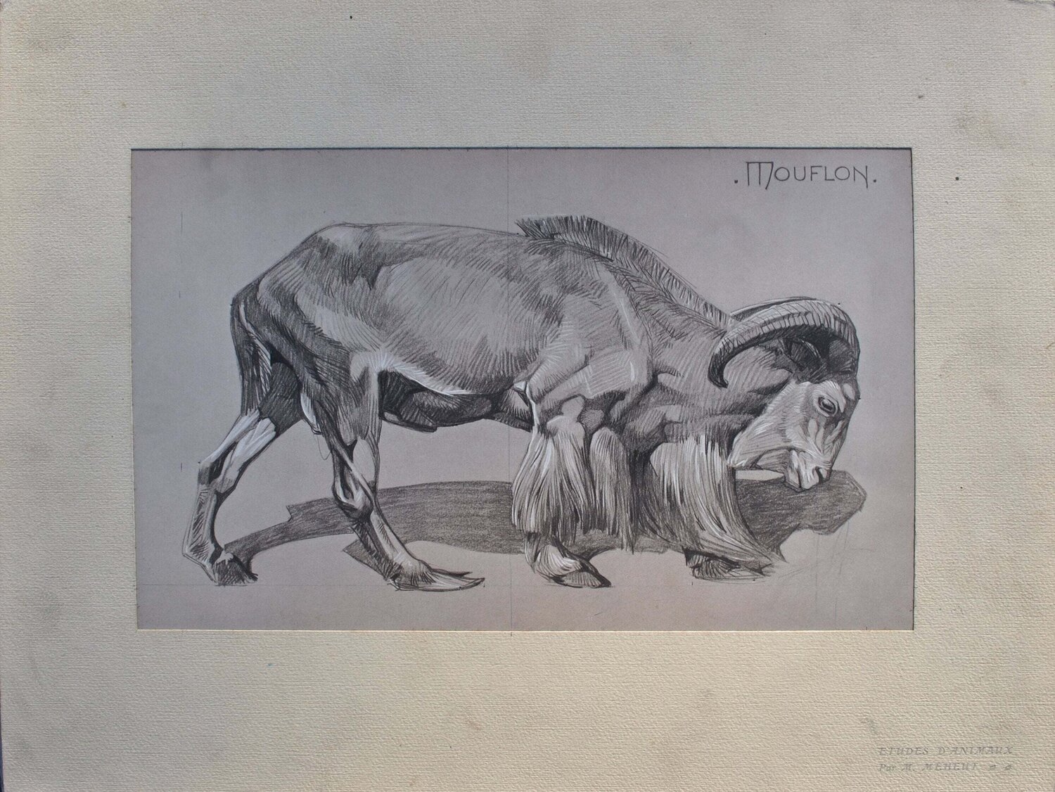 Le Mouflon de profil Mathurin Méheut Édition à vendre