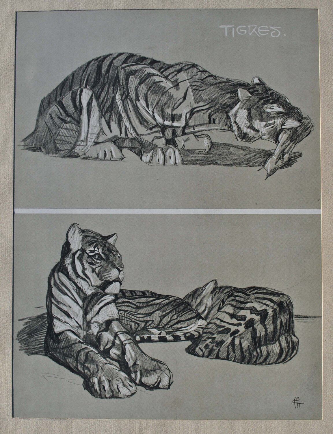 Le Tigre Mathurin Méheut