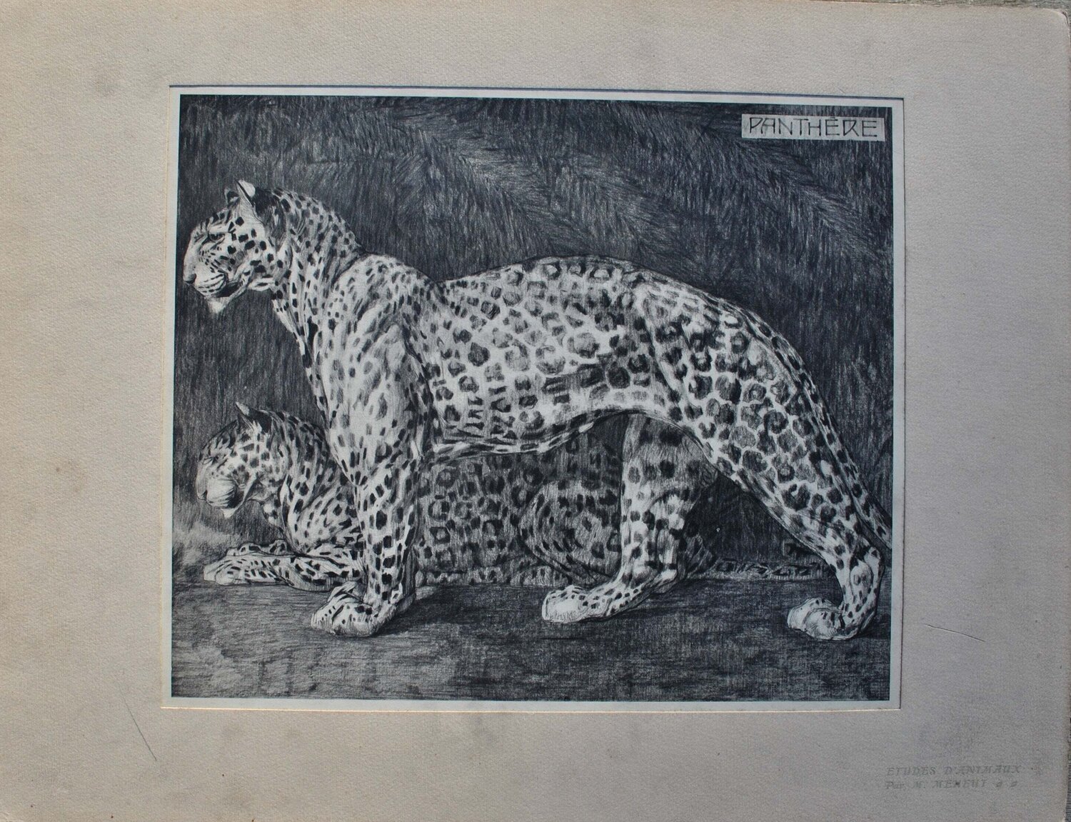 La Panthère Mathurin Méheut Édition à vendre
