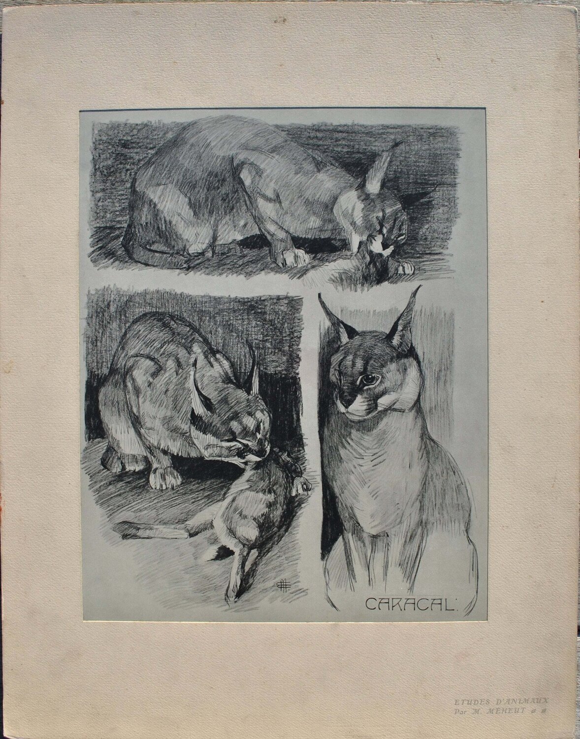 Le Caracal et sa proie Mathurin Méheut Impresión en venta