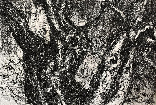 Danza von Milena Nicosia, Druck kaufen auf Singulart